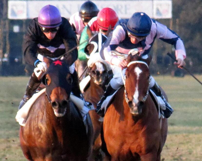 San Rossore, occhi sul “Panathlon” 