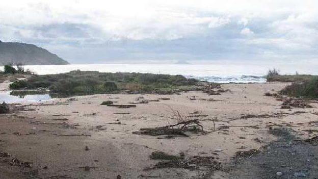 La barriera di Lacona cede «L’erosione sta avanzando»