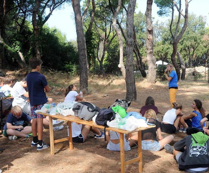 Taglio di pini nell’area scavi Proteste social 