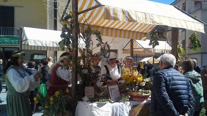 È tempo di Selvaggia, la festa delle erbe