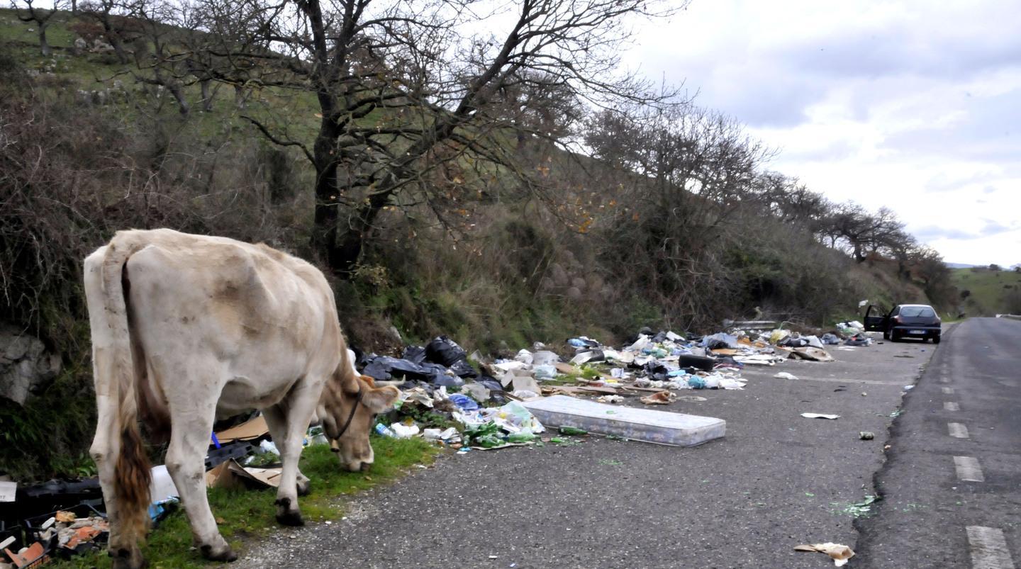 Il Comune approva regole e sanzioni contro le discariche