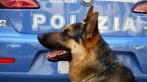 Controlli della polizia a scuola 