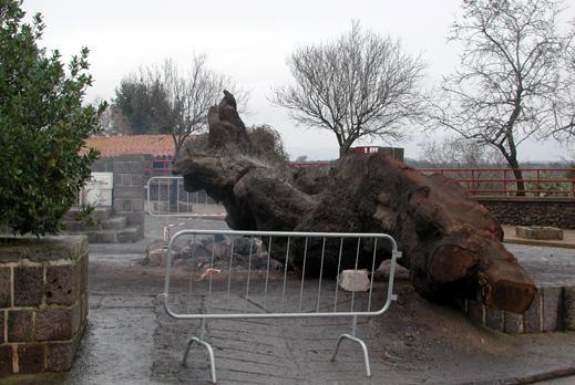 Incidente a Sant’Antonio il Comune ora risparmia