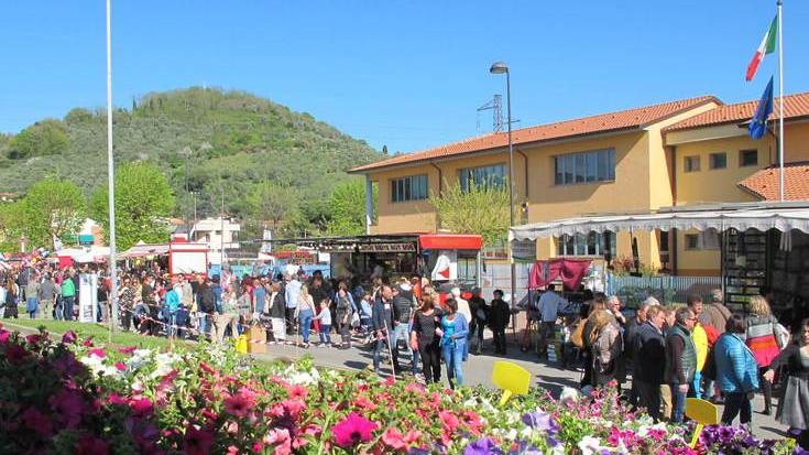 Tra alpaca e vecchie glorie a Massarosa c’è la fiera