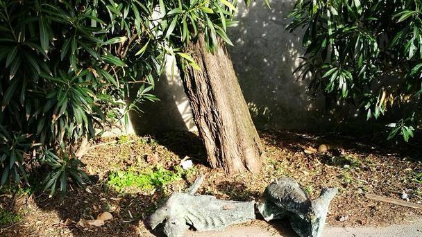 Rubata e distrutta la statua dei caduti