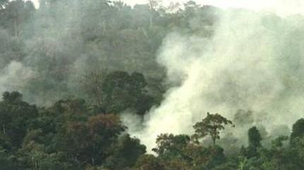 Patto per salvare l’Amazzonia