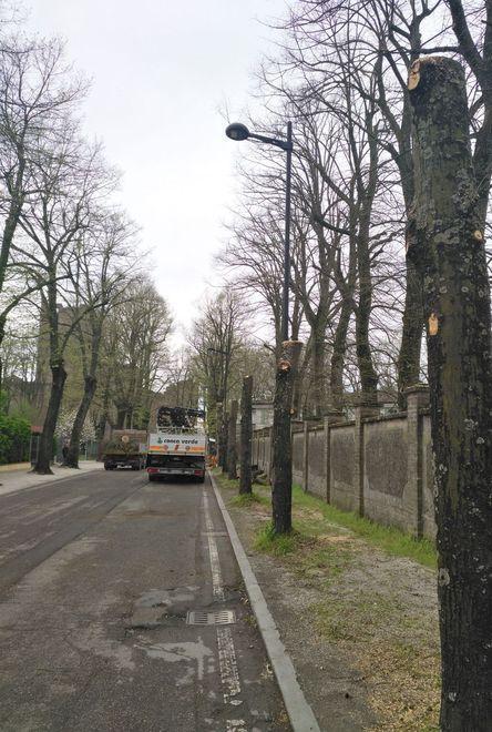 Via i tigli per fare la ciclabile 