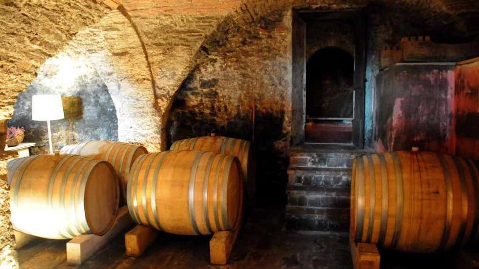 I viticoltori del Candia e dei Colli di Luni “all’attacco” di Vinitaly