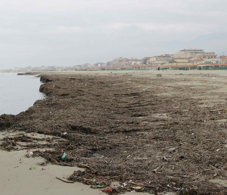 Caso-lavarone: costa di più quello smaltito da Sea 