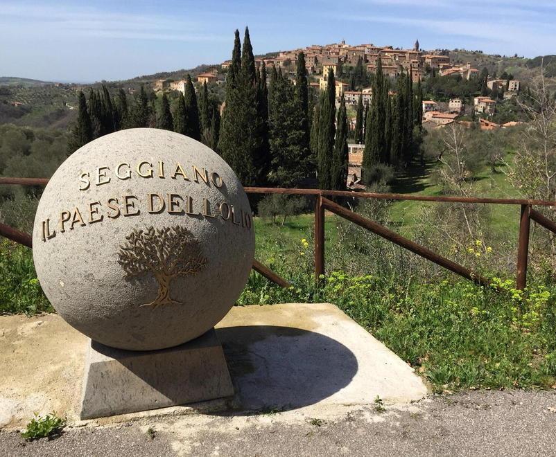 Da Seggiano al Giappone un “filo verde” di olivastra 
