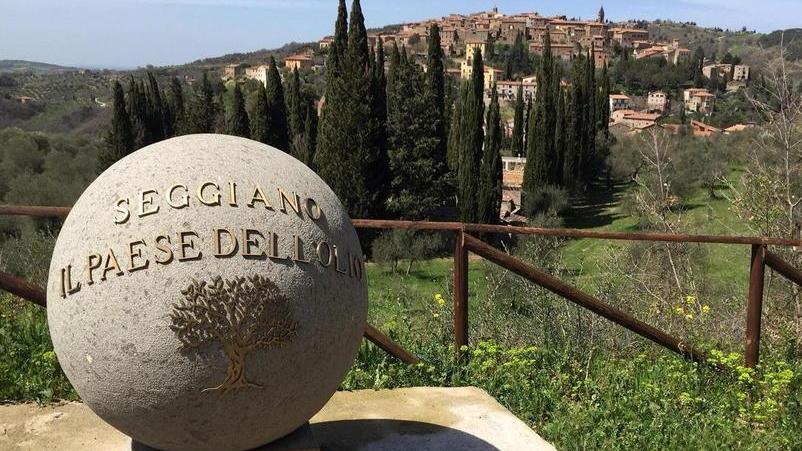 Da Seggiano al Giappone un “filo verde” di olivastra