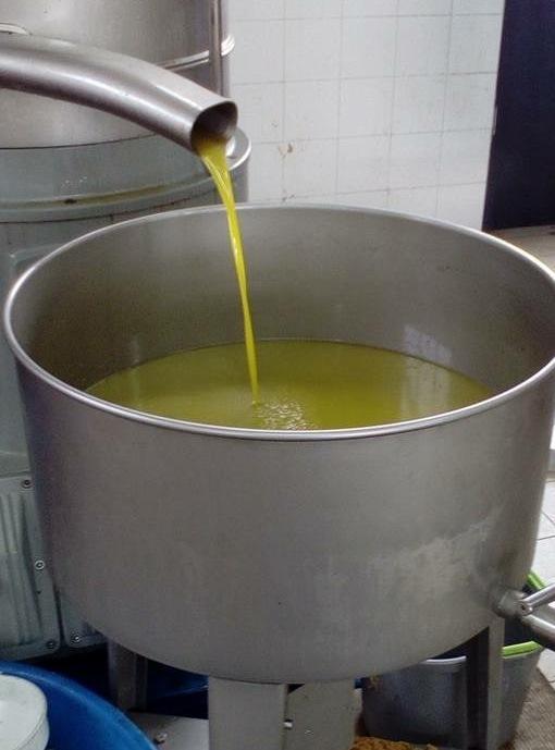 La filiera dell’olio punta sulla qualità a Oliena e Orosei 