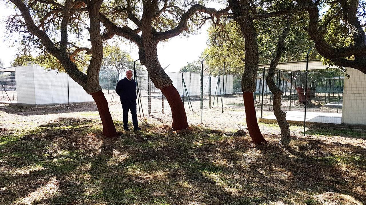 L’assessore al Pd: «Servono 30mila euro per avviare il canile»