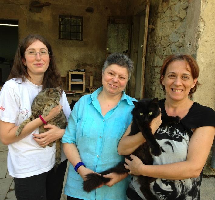 Le gattare al Comune «Quell’eredità è nostra» 