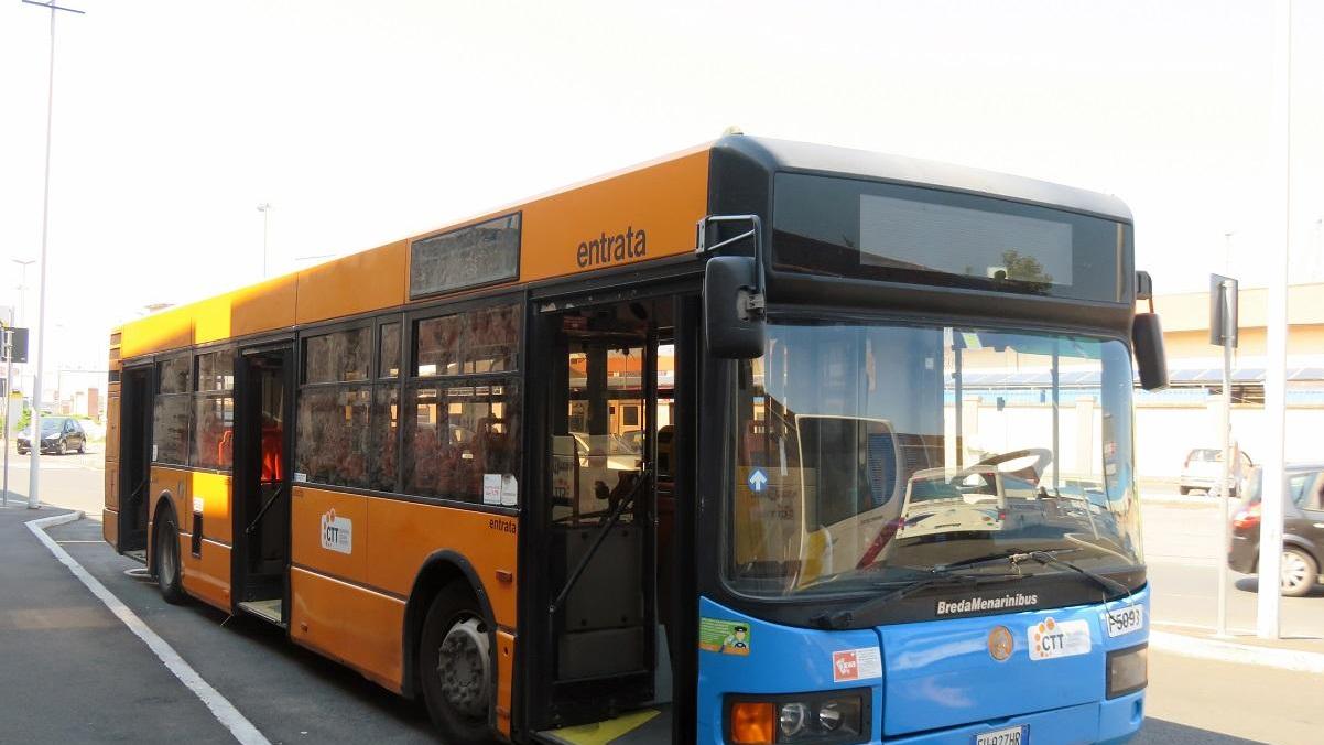 Gettata a terra mentre fa una multa su un bus