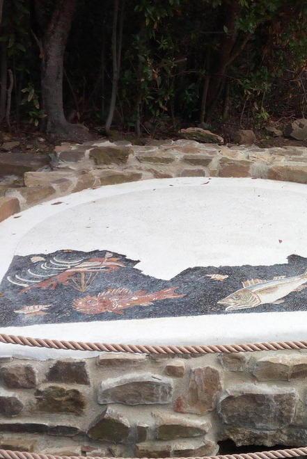 Invasioni digitali: un mosaico marino e il suo enigma