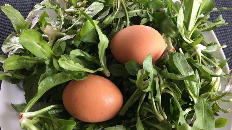Tempo di streccapogn con uova e pancetta