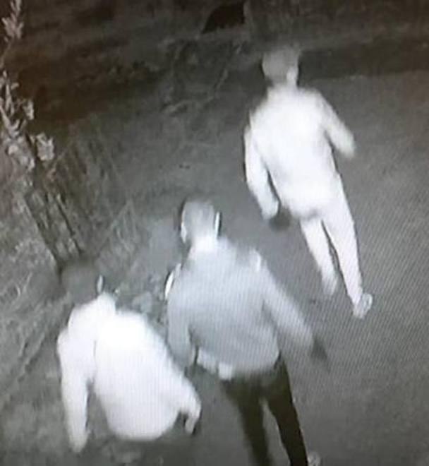 Ladri scatenati a Massarosa 