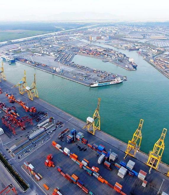 Maxi-Darsena, Donzelli (Fdi) attacca: dove sono finiti i soldi?