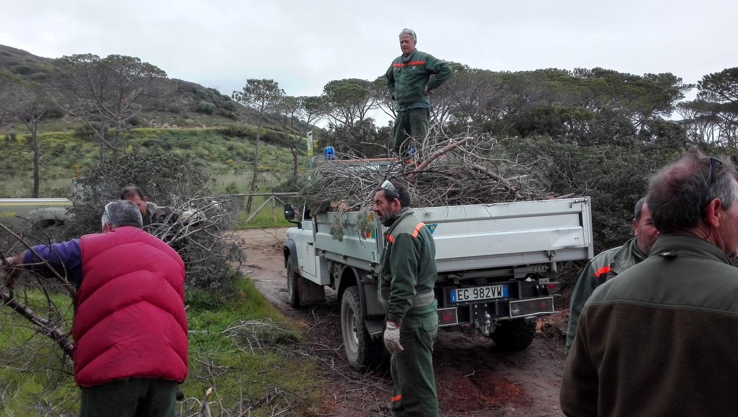 Budoni, Forestas sistema 13 ettari di pinete