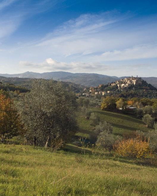 Con la due giorni di Olearie sale in cattedra l’olio dop