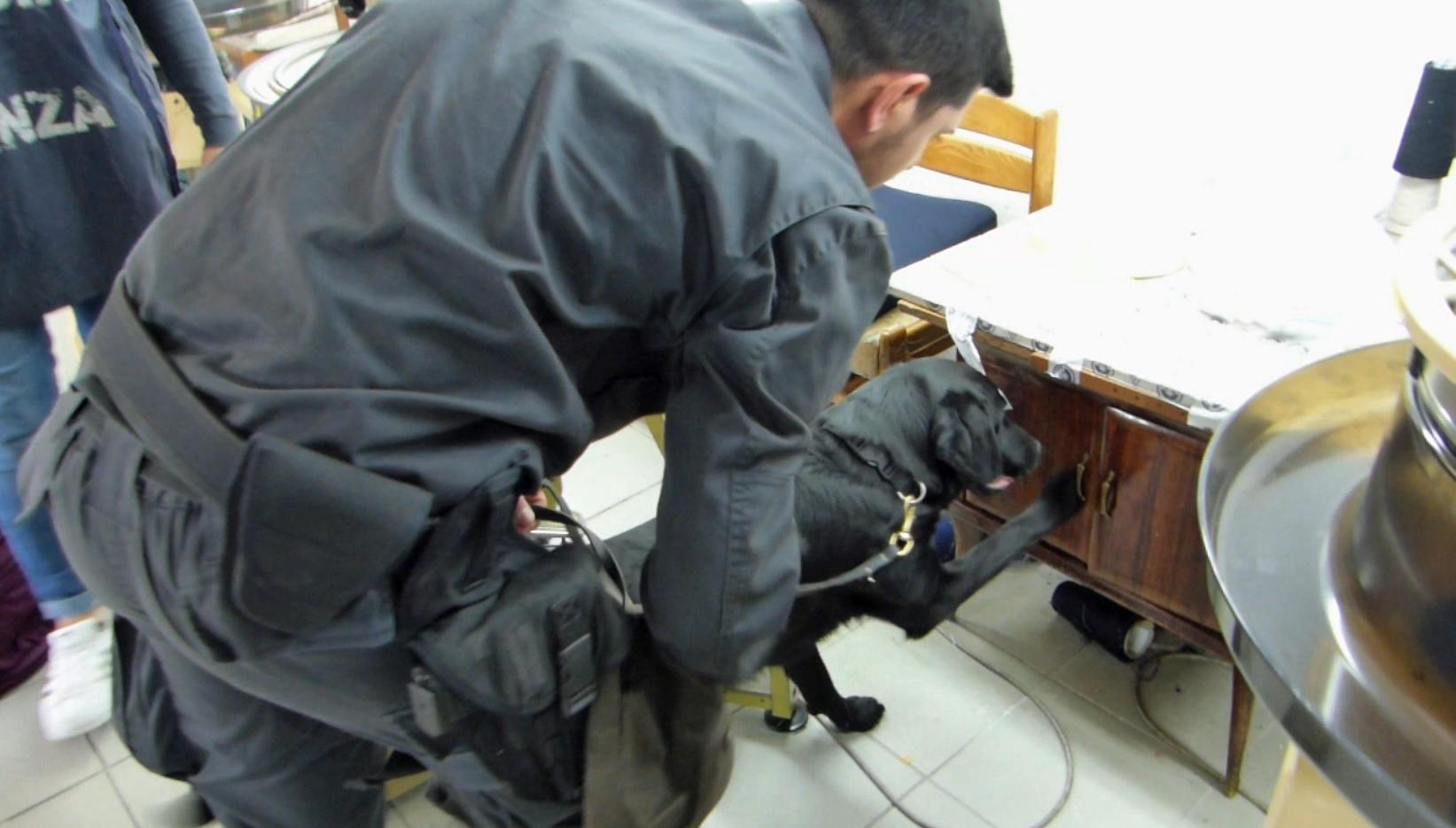 Un finanziere con un cane fiuta-soldi