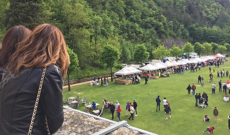 L’olivo quercetano protagonista a Enolia 