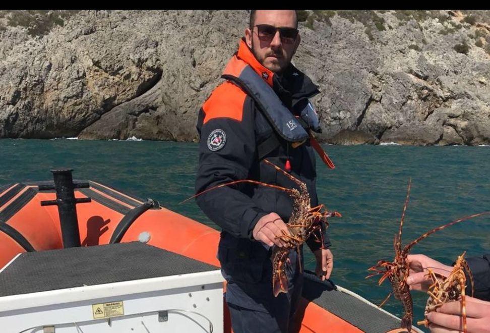 Aragoste vive sulla barca Maximulte e sequestri