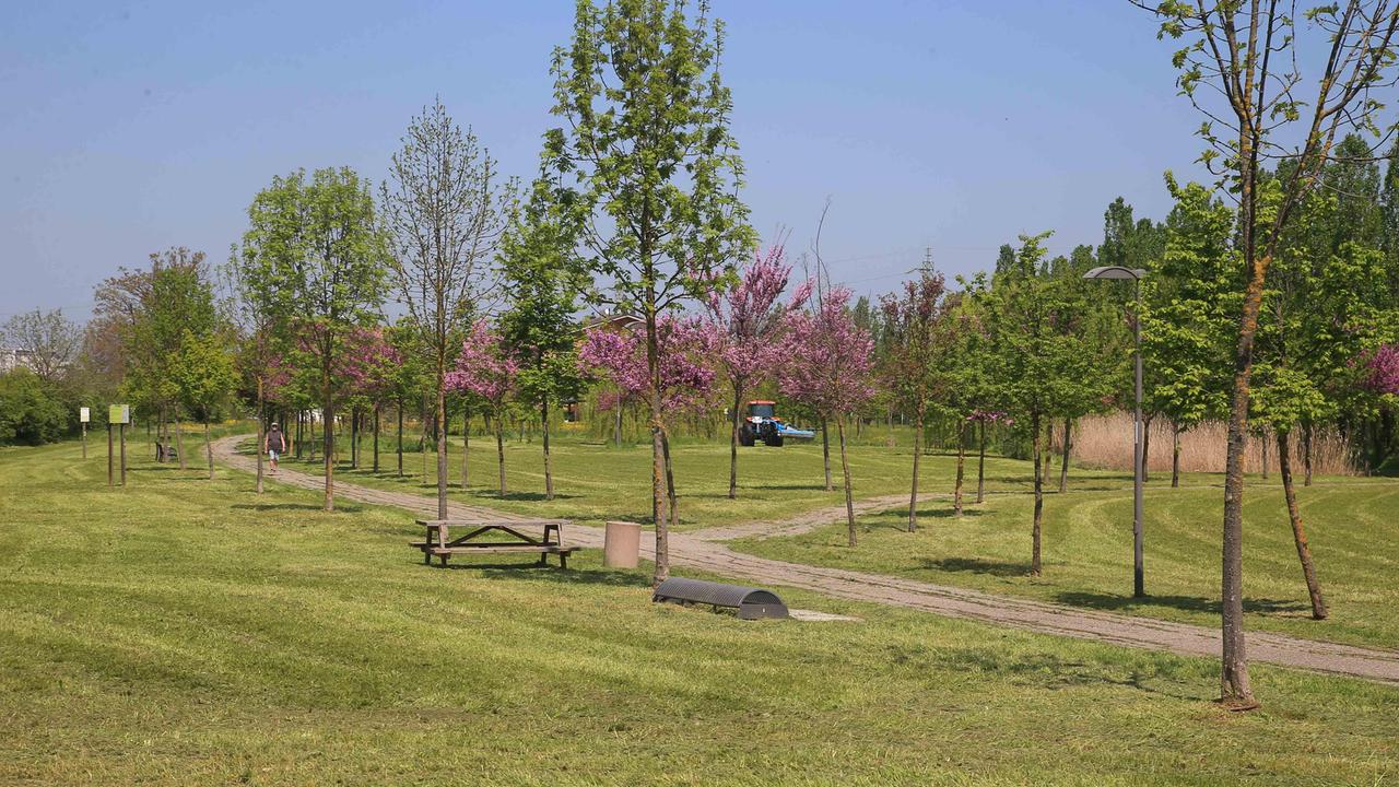 Reggio Emilia, al Parco Ottavi parte la guerra ai topi