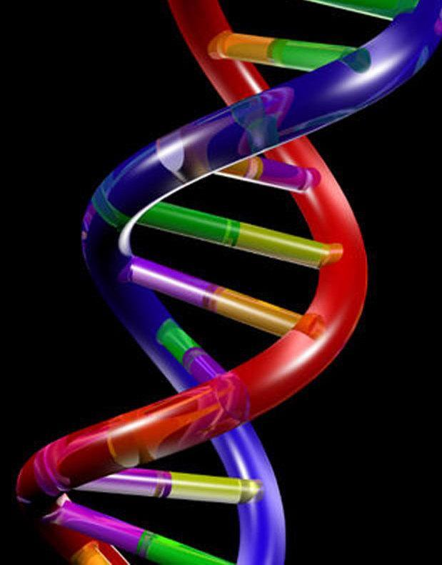 Dna, le scoperte rivoluzionarie in quasi settant’anni 