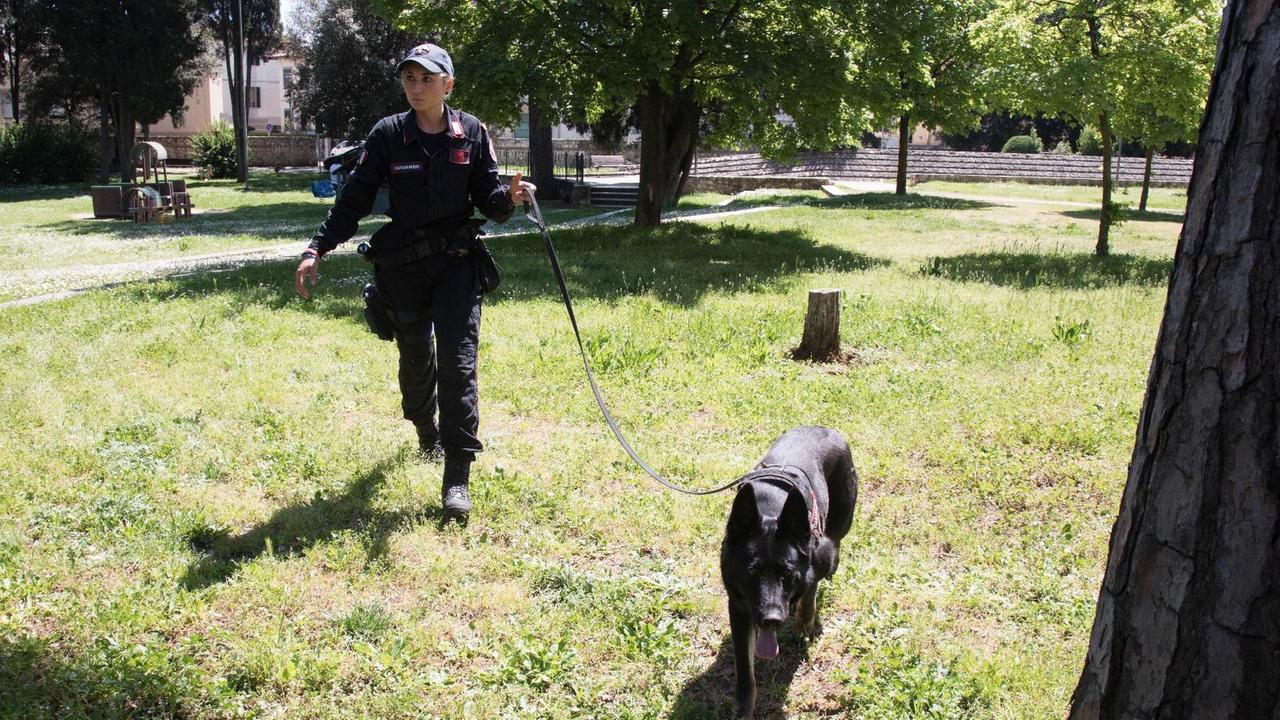 Il cane Bekasi in azione al parco Mariambini