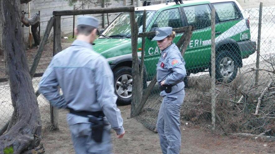 Spaccio nei boschi, controlli per contrastare il fenomeno