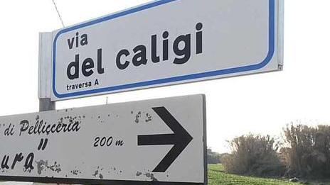 Centrale a biomassa: i comitati depositano il ricorso al Tar