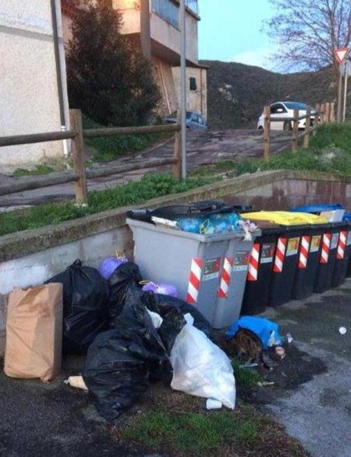 Parte la raccolta porta a porta «Rifiuti lasciati lungo la strada»