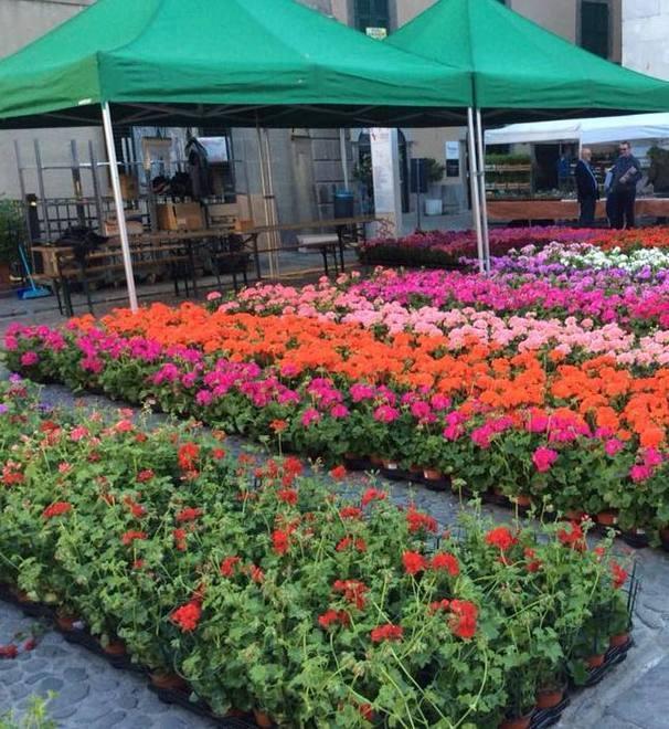 Migliaia di visitatori in piazza tra i profumi e i colori dei fiori