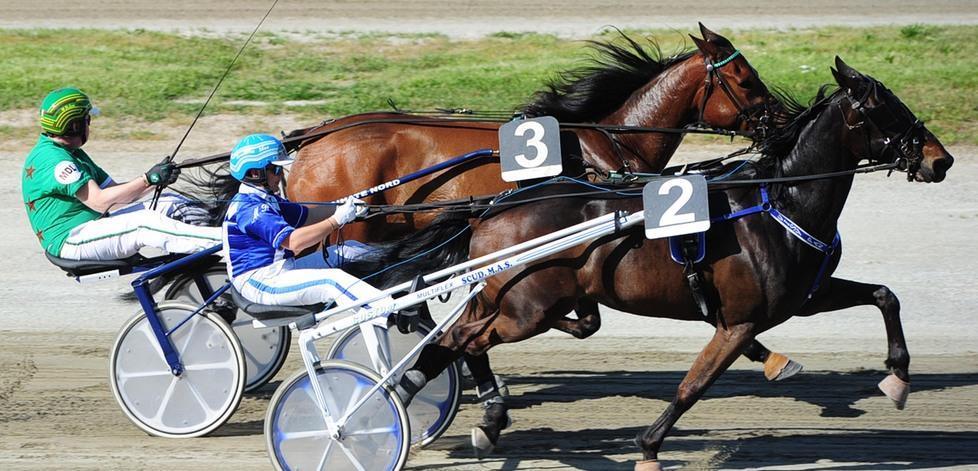 Osiride Ron domina il Gino Borelli 