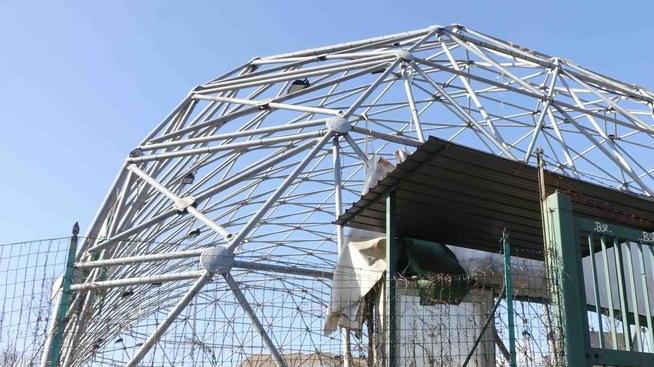 Il Pallone di pattinaggio può rinascere