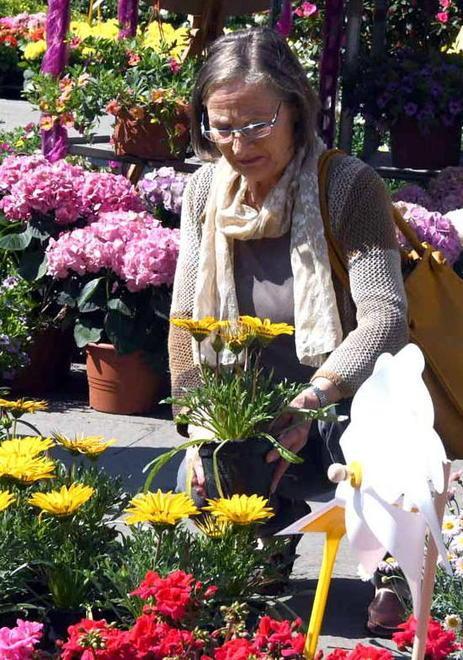 Il centro storico è rifiorito tra i profumi di primavera