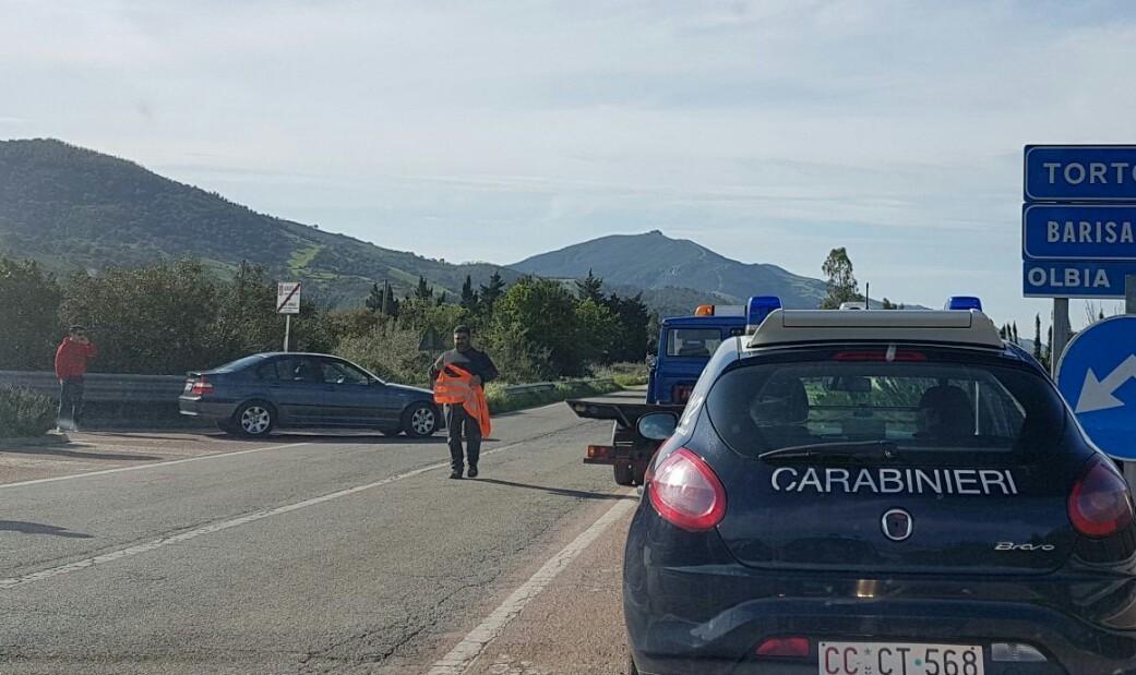 Tertenia, auto contro bue: tragedia sfiorata