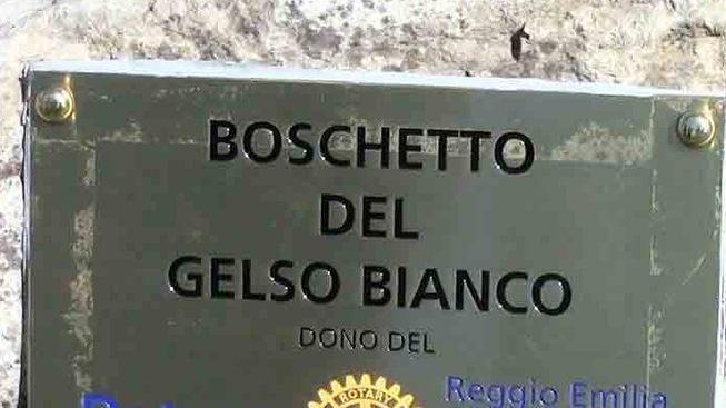 Il parco dello Spallanzani rinasce anche grazie al Rotary