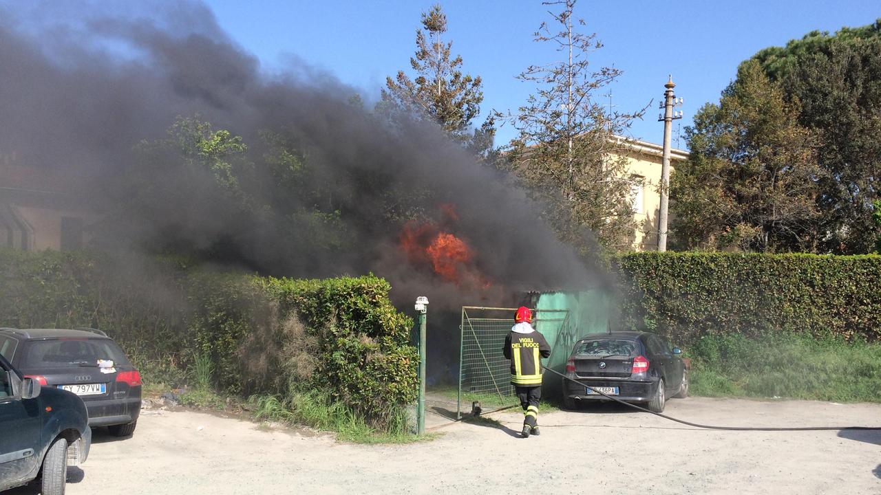 I vigili del fuoco al lavoro (foto Michele Falorni/Silvi)