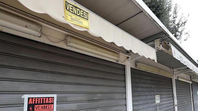 Ametista: «No ai mercatini in pineta»