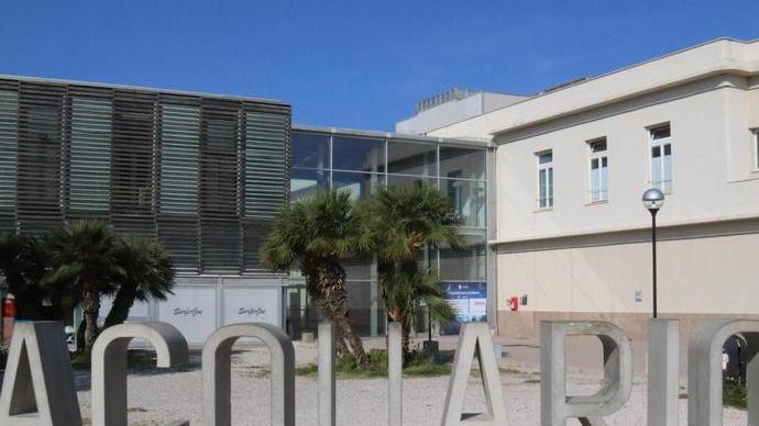 Biologia marina, i prof cinesi oggi all’Acquario