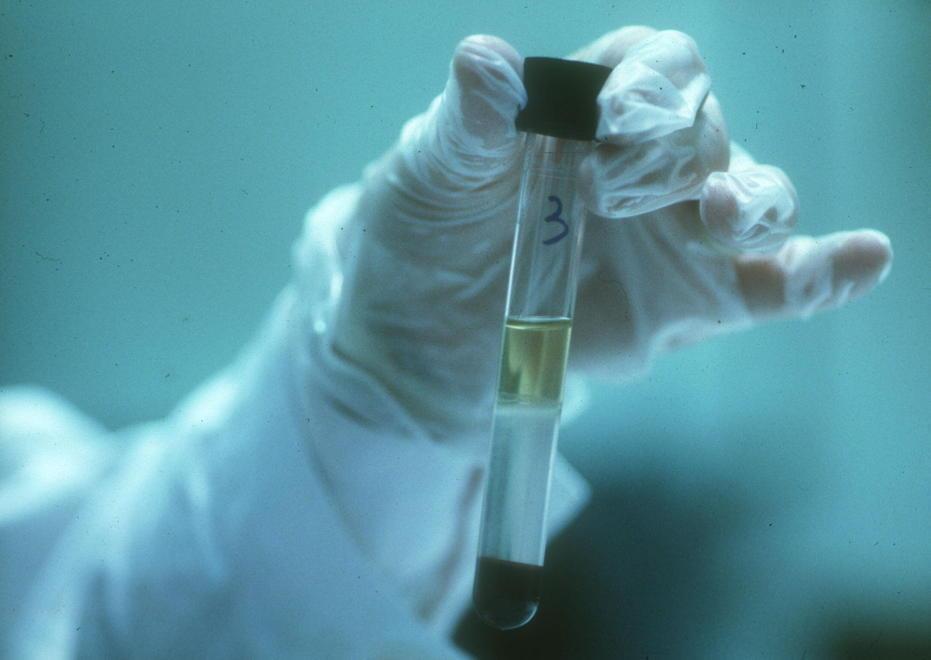Gli studenti di Livorno stregati dal fascino della scienza 