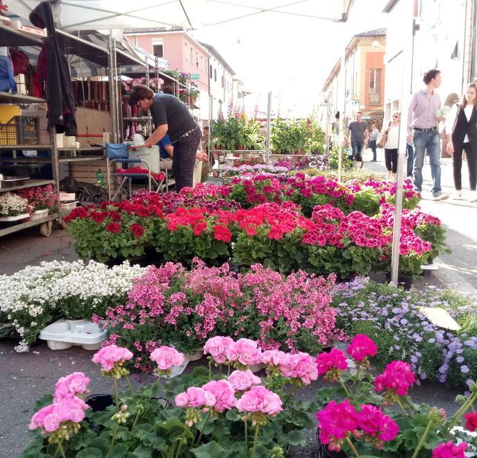Bilancio positivo per il weekend dell’Emilia ripiena 