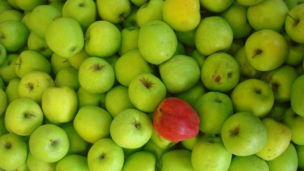 Mela: Un frutto tutta salute