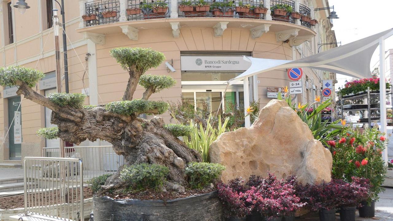 L’acquedotto diventa un giardino