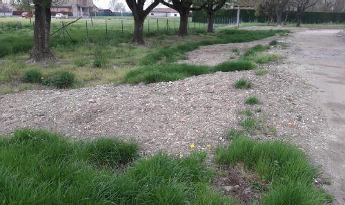 La Lega: cortile scolastico pieno di detriti