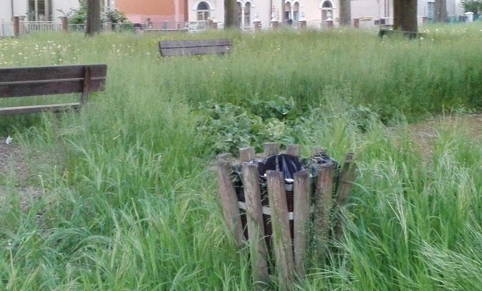 Una selva al posto del parco giochi 
