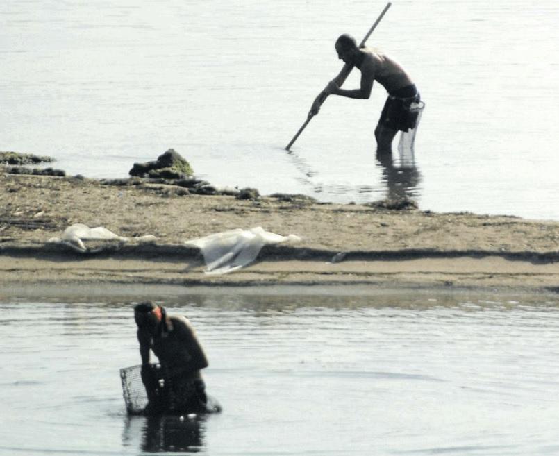 Olbia, niente arselle e tartufi fino a settembre 